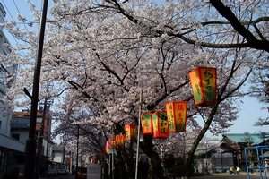 桜の季節の温泉街