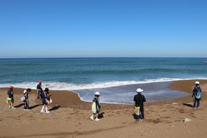 波松海岸を歩く児童たちの写真