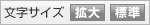 文字サイズを変更する
