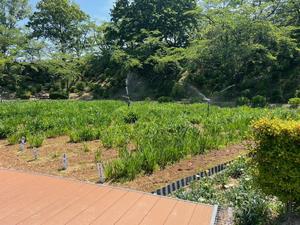 5.19写真3