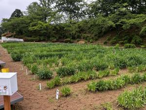 5.22写真2