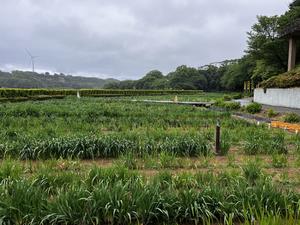 5.22写真3