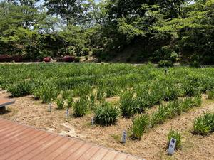 5.25写真1