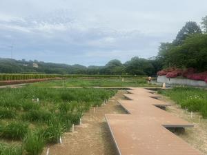 5.27写真1