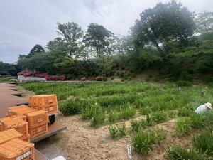 5.27写真2