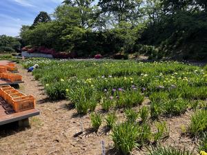 6.1写真2