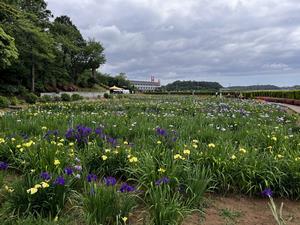6.4写真1