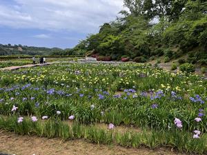 6.4写真2