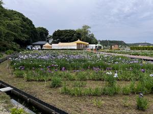 6.7写真1