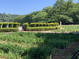 5月24日の写真