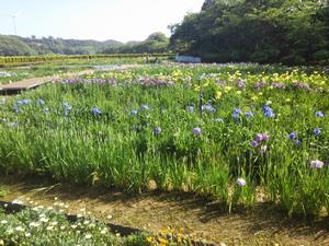 6月3日1