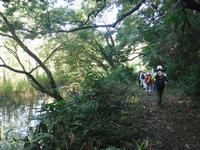 湿地を歩く様子