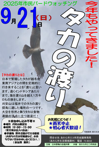 ちらし