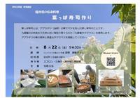チラシ画像