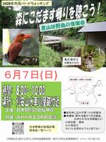 チラシ画像