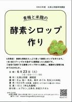 チラシ画像