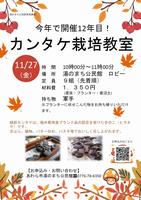 チラシ画像