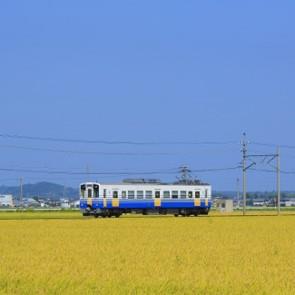 のどかな田園の写真