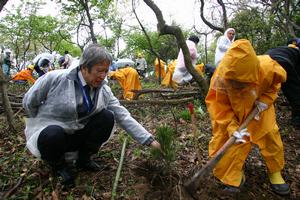 植樹の様子