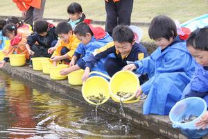 バケツから稚魚を放流