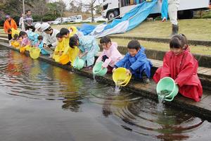 フナの稚魚放流