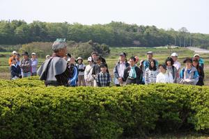 多賀谷左近の墓