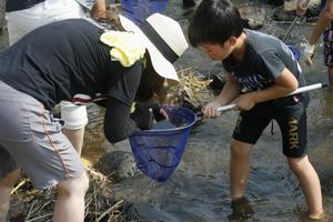 水生生物観察会