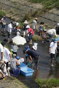 水生生物観察会