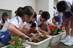 人権の花植え