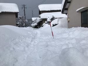 歩くのも困難なほどの積雪