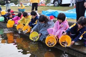 フナを放流する児童の写真