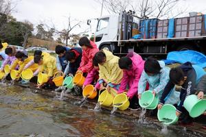 バケツで放流する児童たちの写真