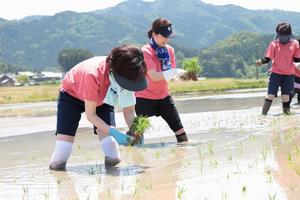 田植えをする女将の会の画像