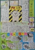 R7二面生き物新聞