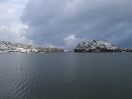 雪で化粧をした鹿島の森