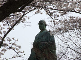 桜の中の蓮如上人像