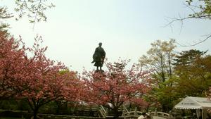 八重桜の中の蓮如像