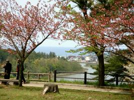 御山から日本海を見る