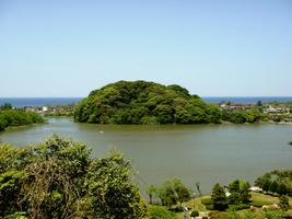 新緑の鹿島の森