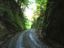 鴫谷山の切通し