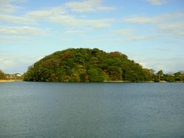 紅葉した鹿島の森