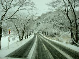 雪の道