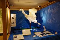 あわら市の鳥 白鷺