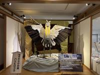 なぞだらけの鳥ハシビロコウ