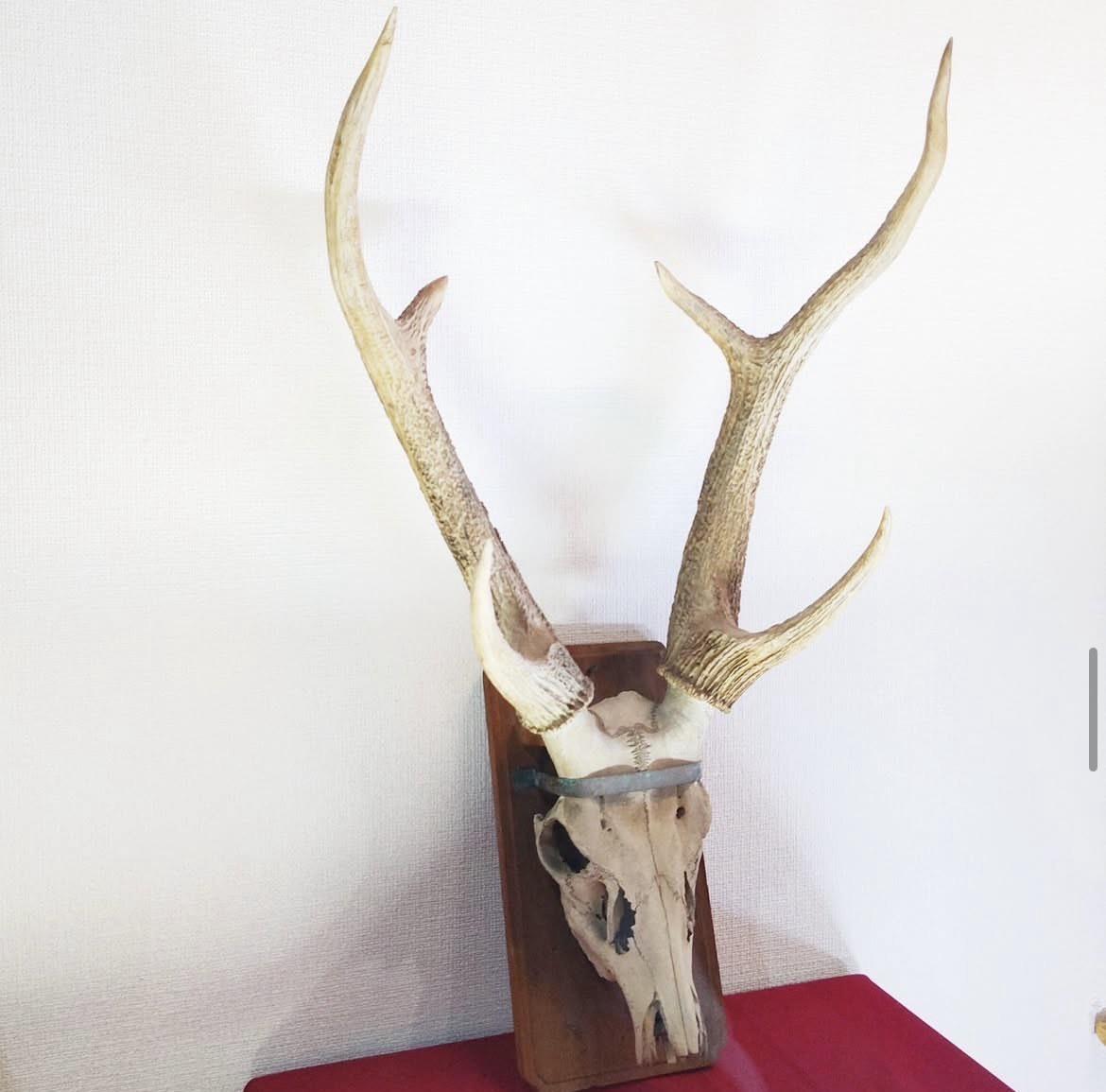 sika