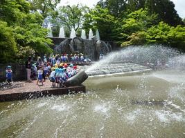 大きな噴水！