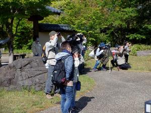 活動写真003