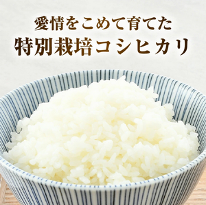 グリーンファーム2