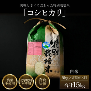 さかのしも1