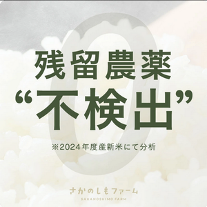 さかのしも2